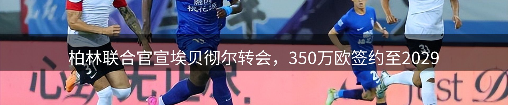 新闻动态