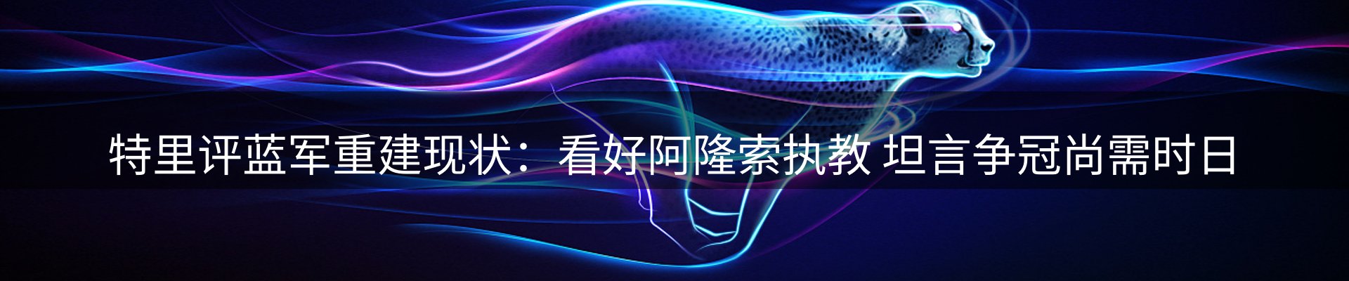 新闻动态