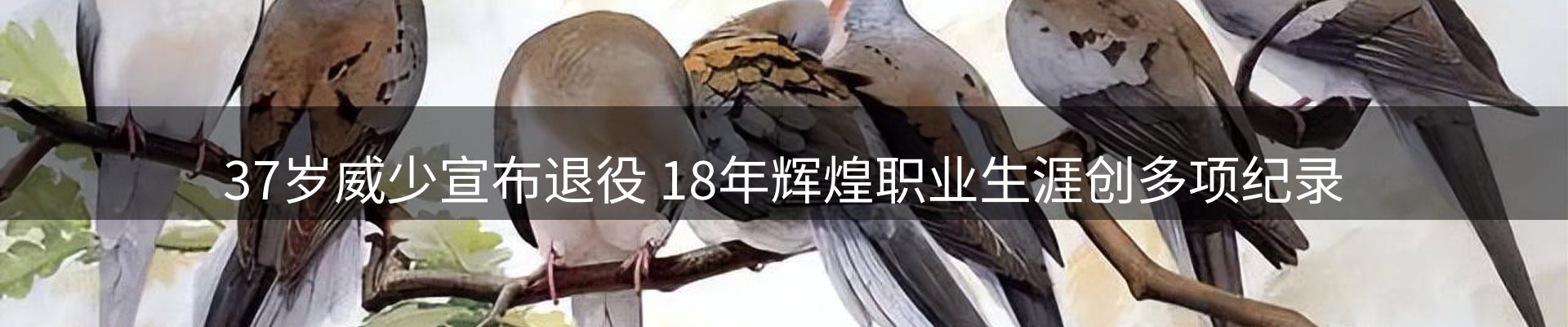 新闻动态