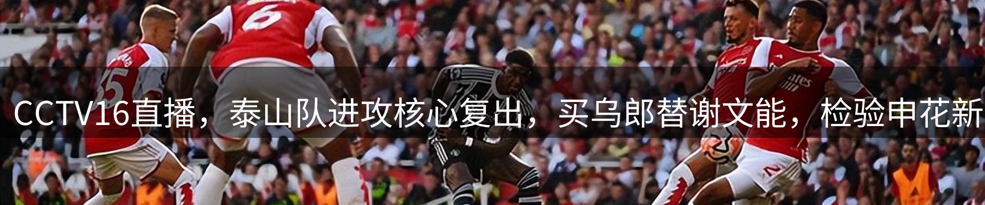 新闻动态